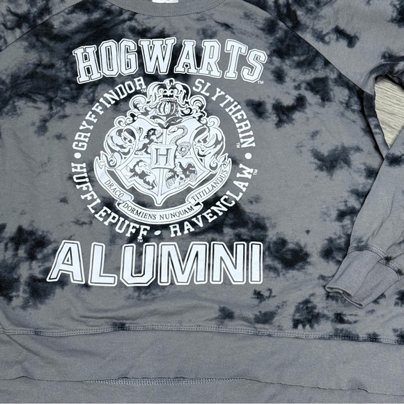 Harry Potter Hogwarts Alumni Gray Sweatshirt - Picture 2 of 7
